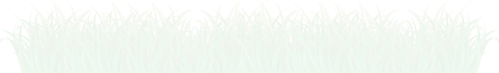 Leaf Png